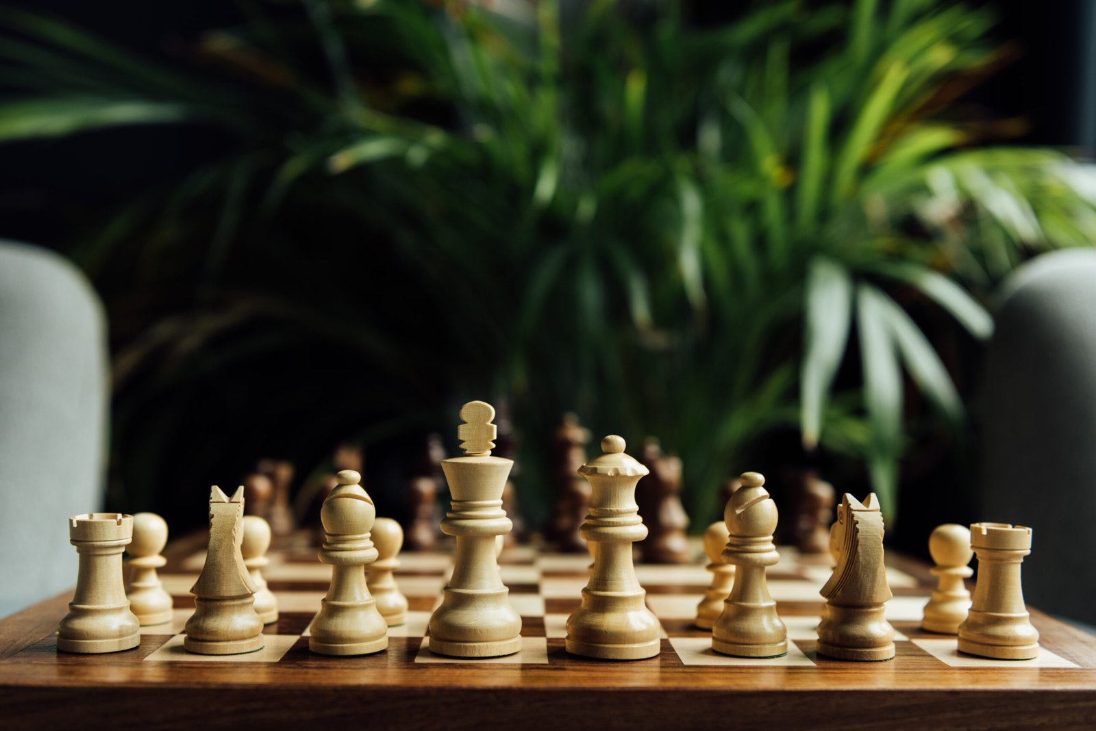 Read more about the article 6 Steps on How to Play Chess: The Beginners Guide