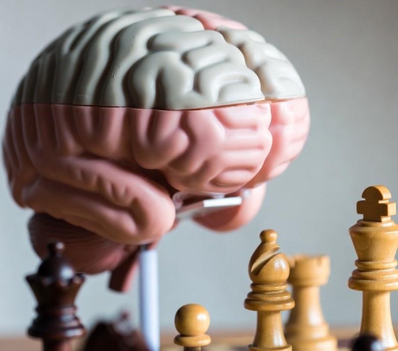 Read more about the article Chess as Brain Training: How the Game Builds Critical Thinking from the Prefrontal Cortex Outward?